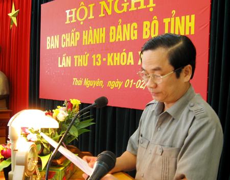 Cho ý kiến vào những vấn đề lớn của tỉnh